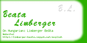 beata limberger business card